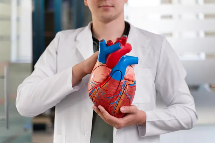 Astaxanthin for heart health protecting cardiovascular system